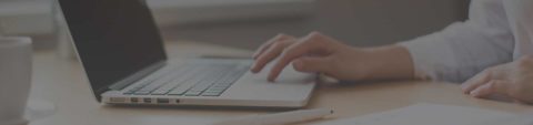 Career at Online Creations Ltd