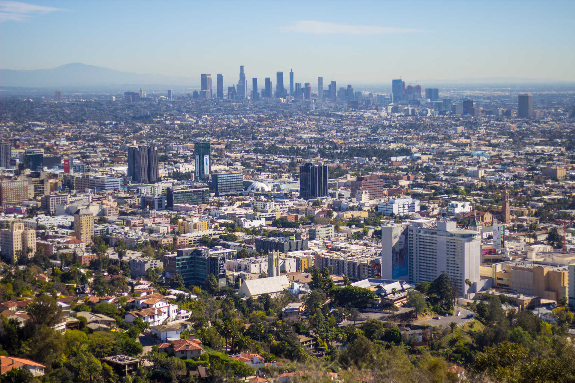 Trending Real Estate Keywords for Los Angeles Follol